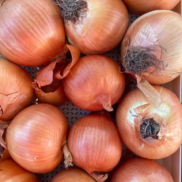 Ode to Onions